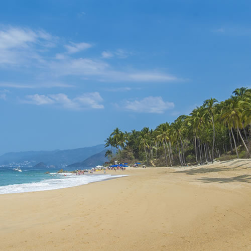 Conoce Puerto Vallarta Guía Turística Oficial