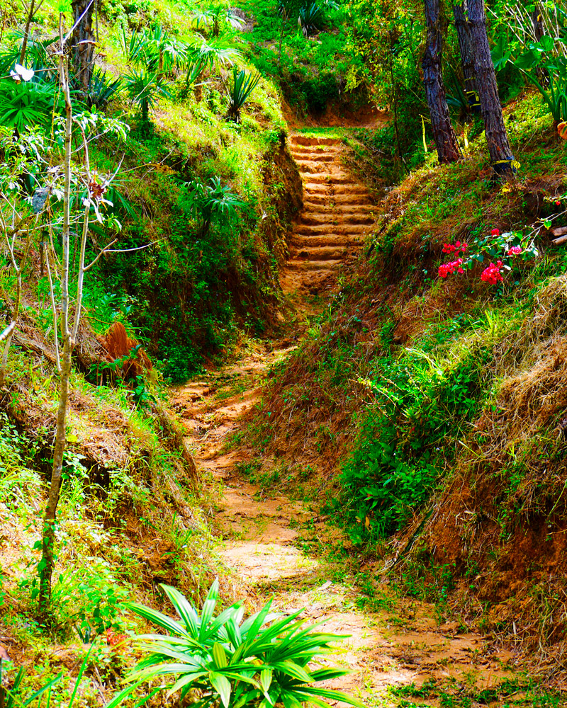 Jardín Botanico en Puerto Vallarta