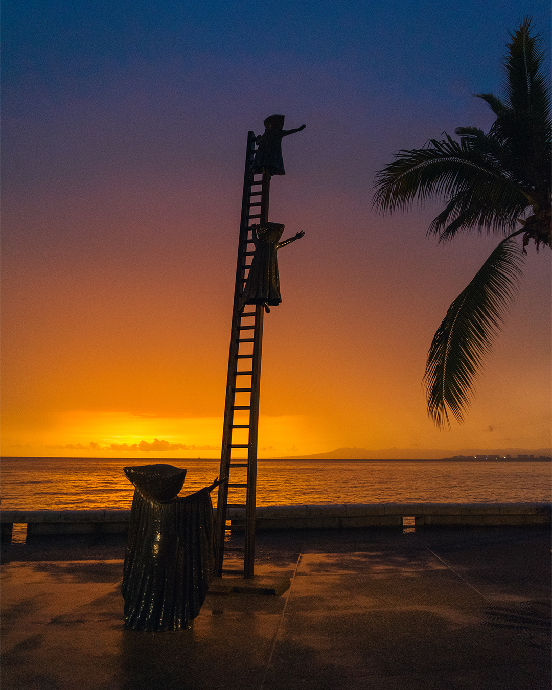 Qué hacer en Puerto Vallarta en la temporada de otoño invierno