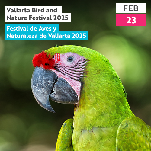 Vallarta Bird and Nature Festival 2025