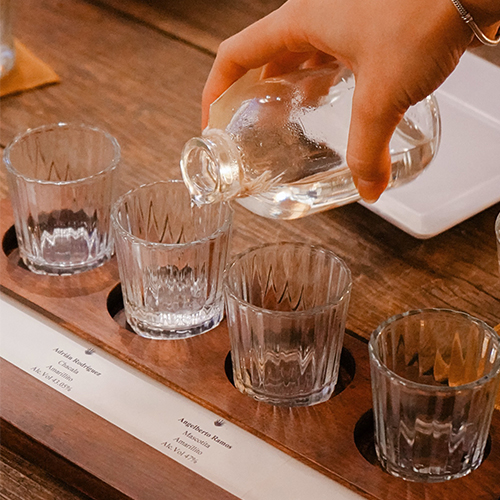 4 Experiencias para descubrir la raicilla de la costa de Jalisco