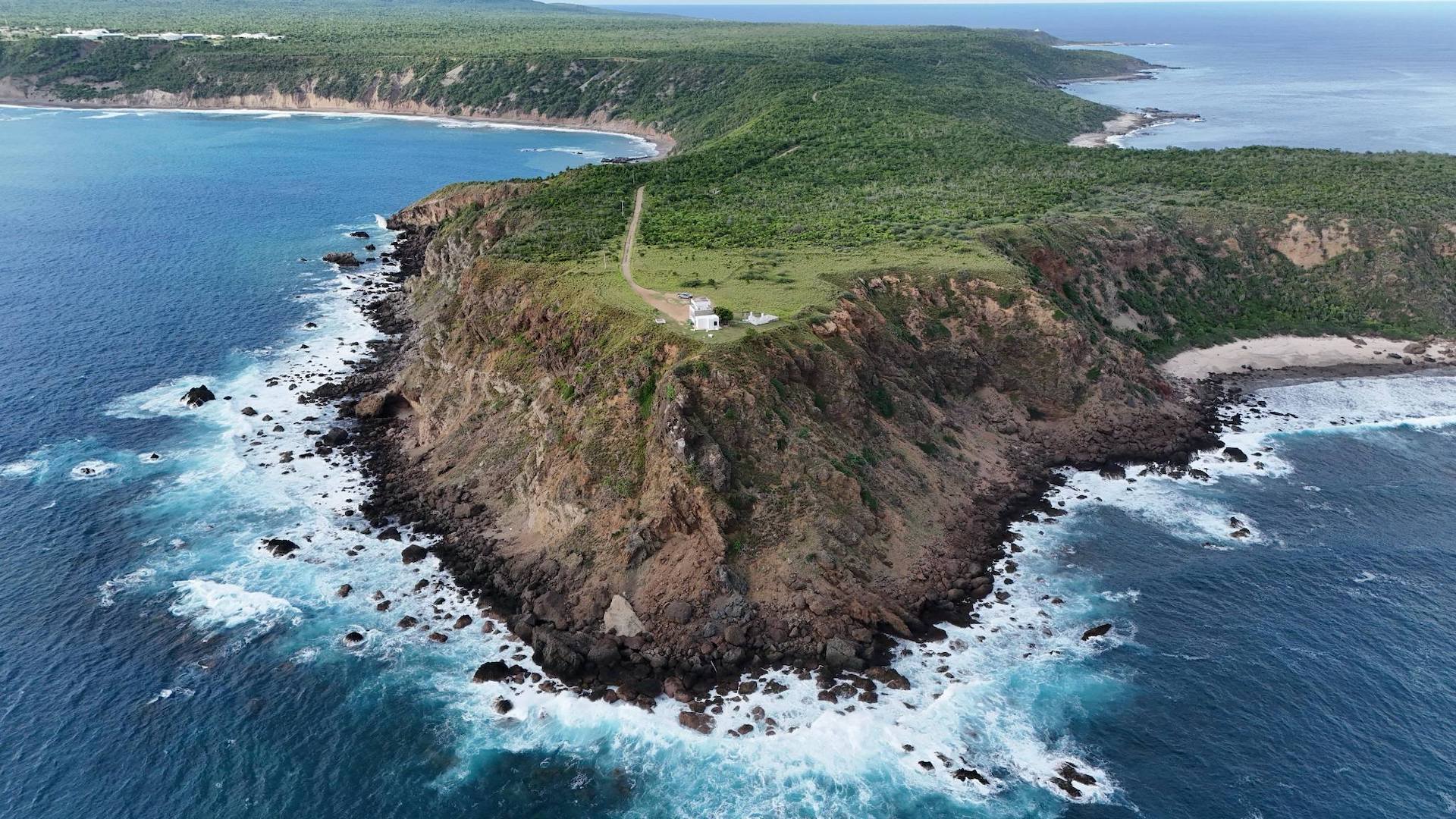 Tres nuevas experiencias en Puerto Vallarta para amantes del mar