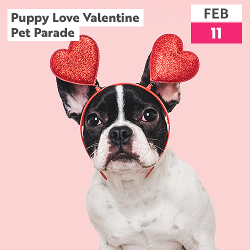 Puppy Love Valentine Pet Parade