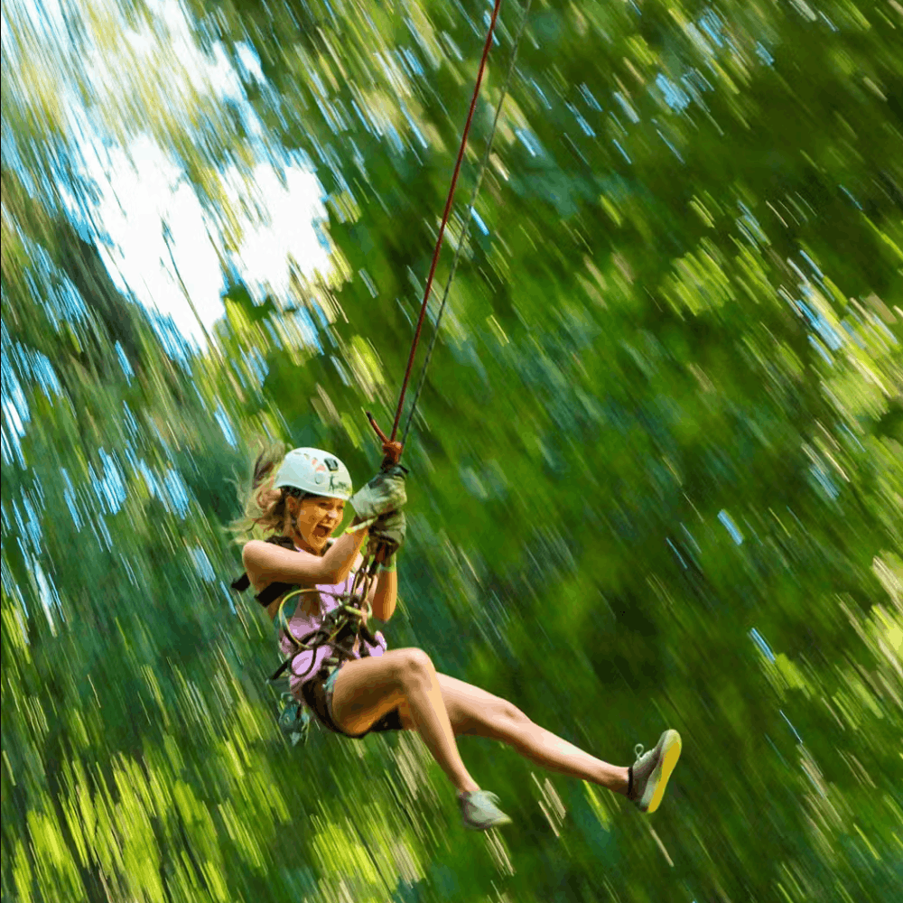 Los tours más divertidos en Puerto Vallarta