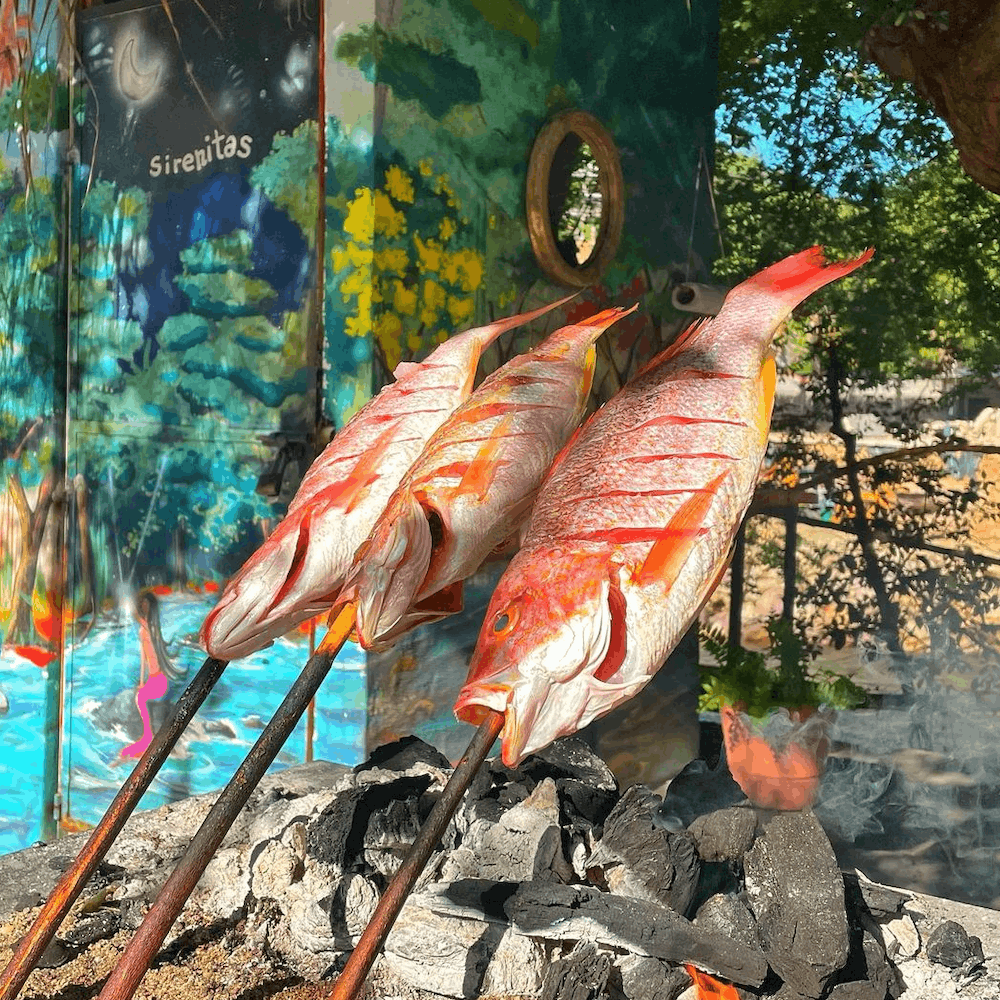 Sabor, identidad e inclusión: Puerto Vallarta, mejor destino en los Magellan Awards 2025