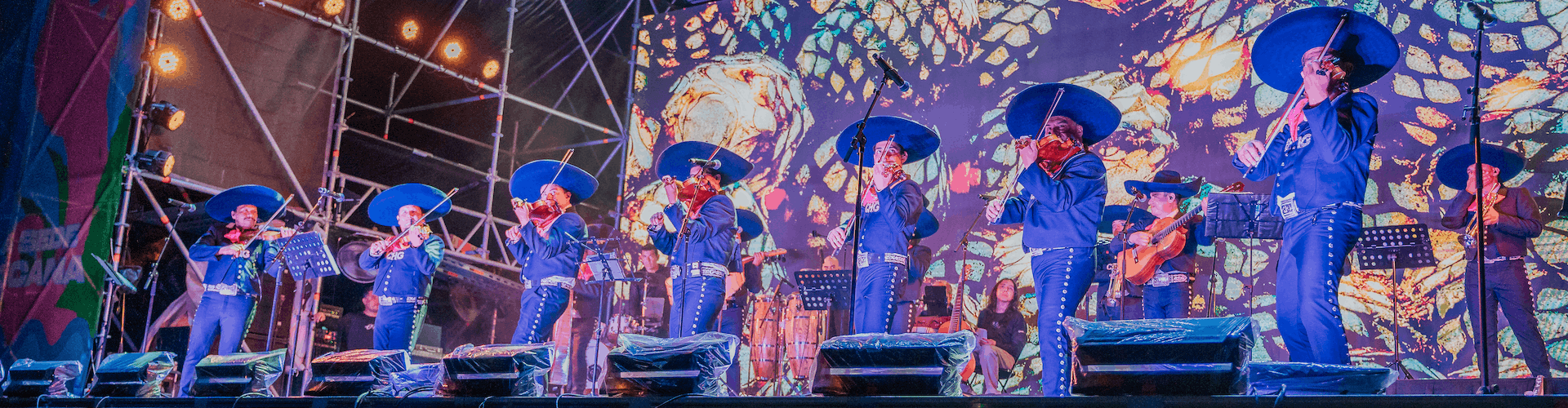 Puerto Vallarta para fans del fútbol: los conciertos en vivo que hacen vibrar la Zona Fan