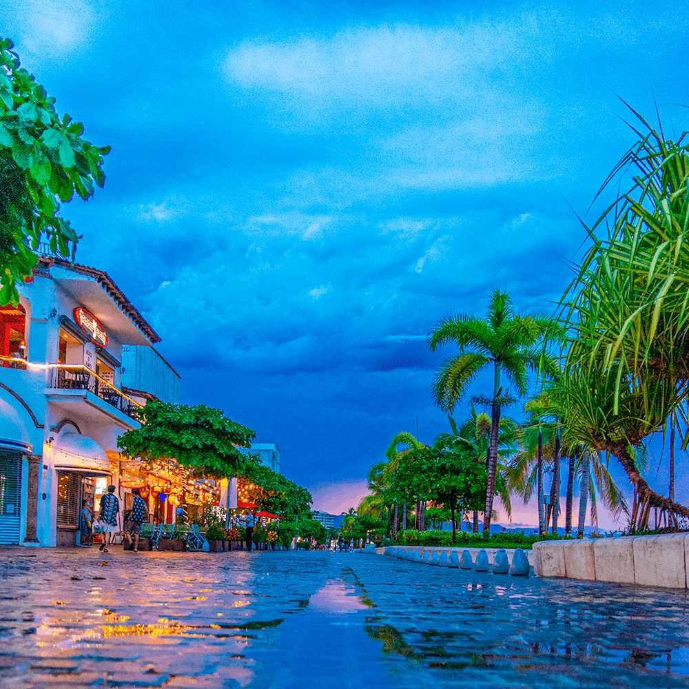 Puerto Vallarta en temporada de lluvias: 6 experiencias imperdibles