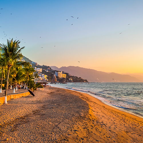 15 señales de que necesitas viajar a la playa