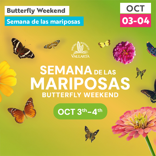 Semana de las mariposas