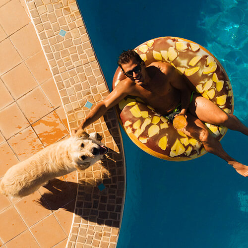 Puerto Vallarta, el Mejor Destino Pet Friendly