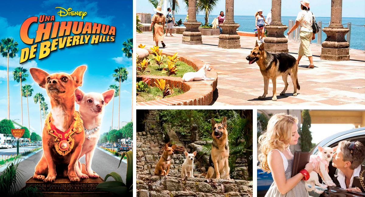 La película Un Chihuahua en Beverly Hills fue filmada en Puerto Vallarta