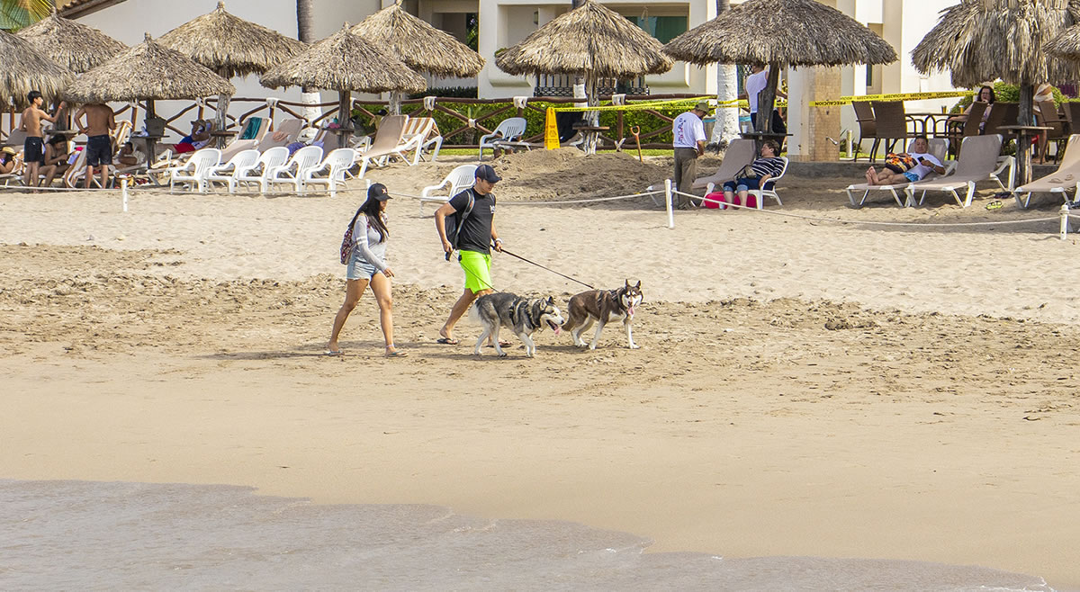 En Puerto Vallarta podrás disfrutar de muchos servicios que son Pet Friendly