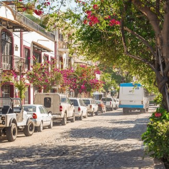 LLEGA EL COLORIDO DE BUGAMBILIA FESTIVAL 2016