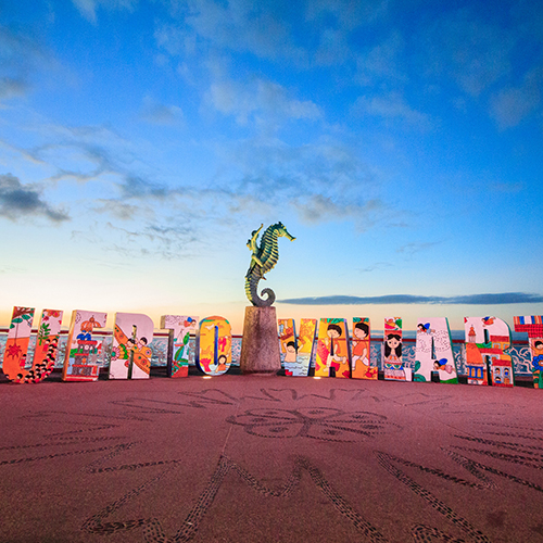 9 cosas que hacer con Mamá en Puerto Vallarta