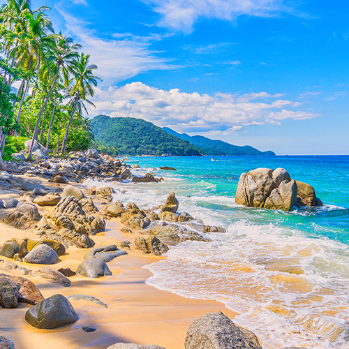 Acompáñanos en este tour para revivir el encanto natural de Puerto Vallarta