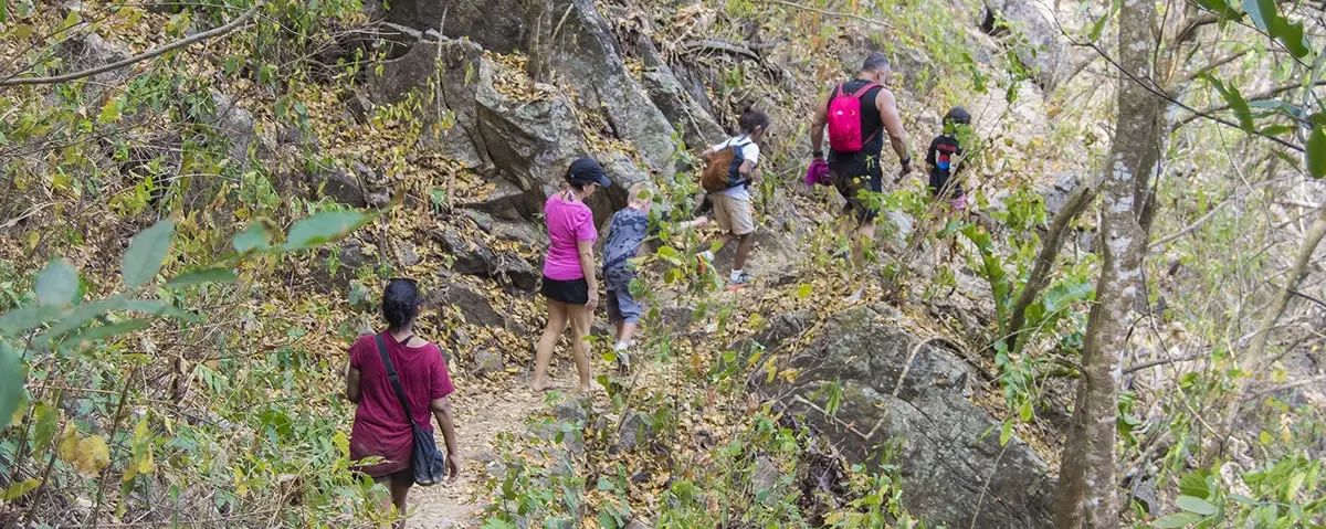 Hiking through the lush landscapes of the Sierra Madre Occidental mountains