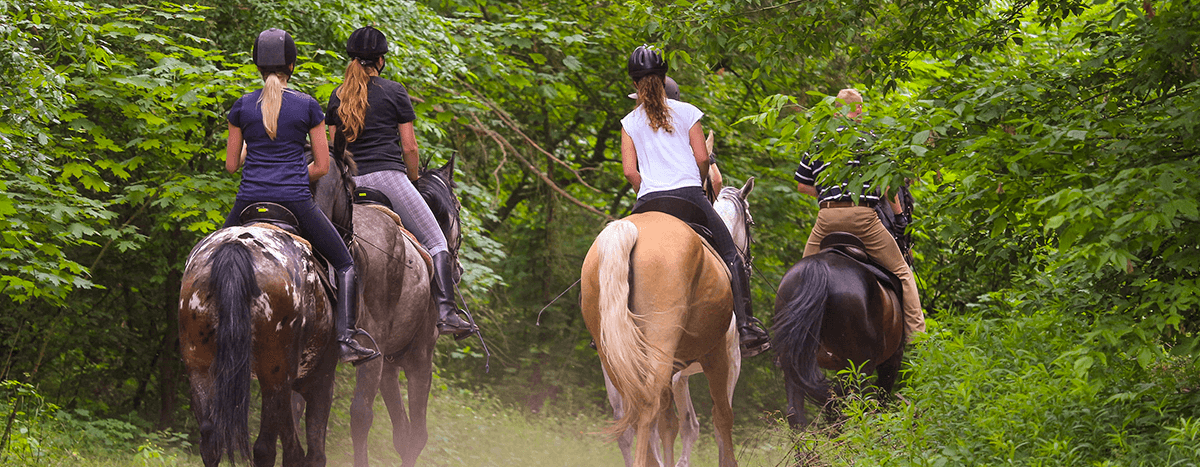 Horseback riding in Puerto Vallarta
