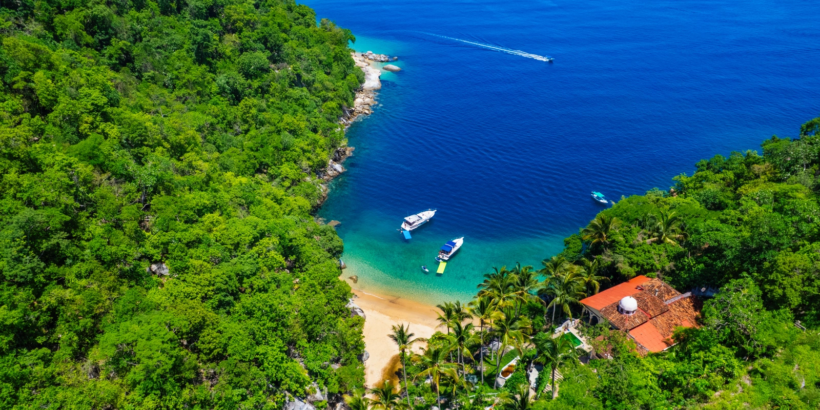 Colomitos in Puerto Vallarta