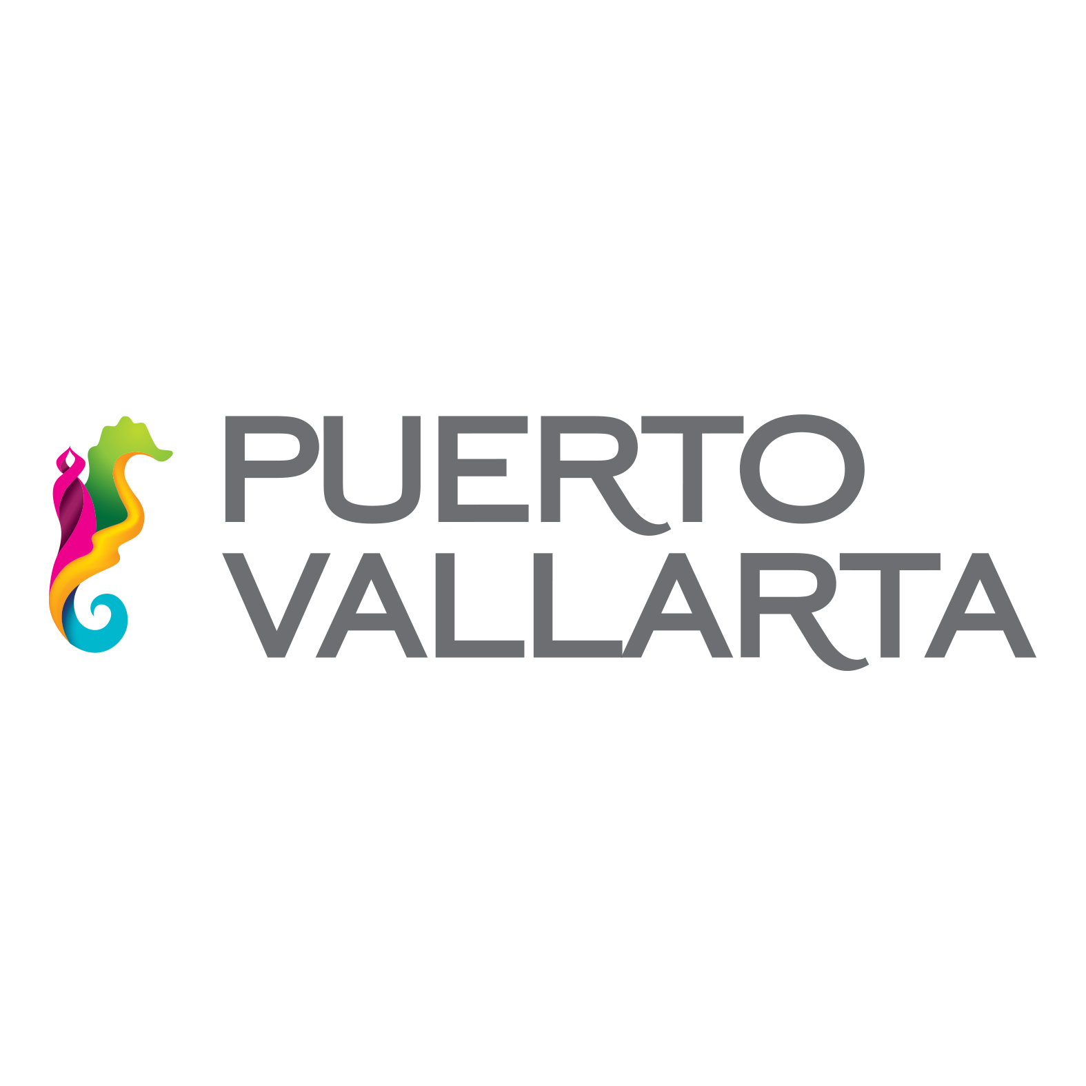 Logo Puerto Vallarta
